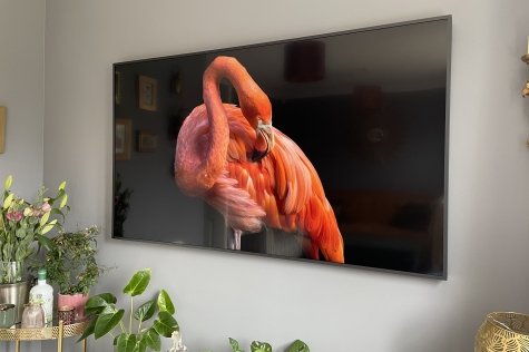 Wall mounted Art TV - Evolution AV